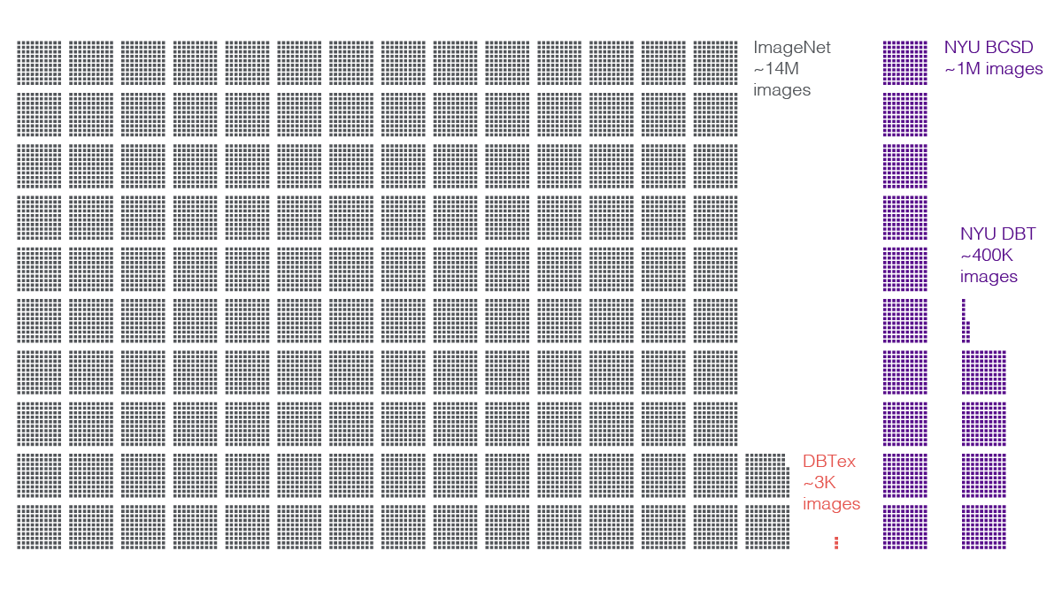 Comparison of relative sizes of ImageNet, DBTex, and NYU mammography datasets.