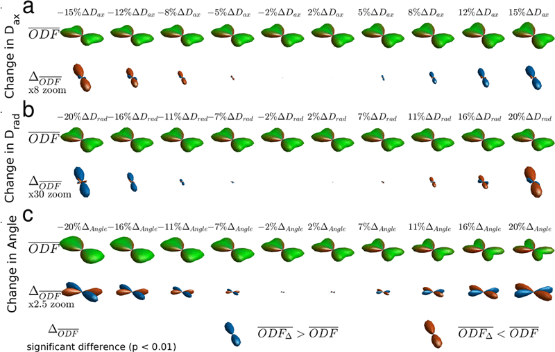 Difference ODFs ΔODF of simulations of two groups of two crossing fibers.