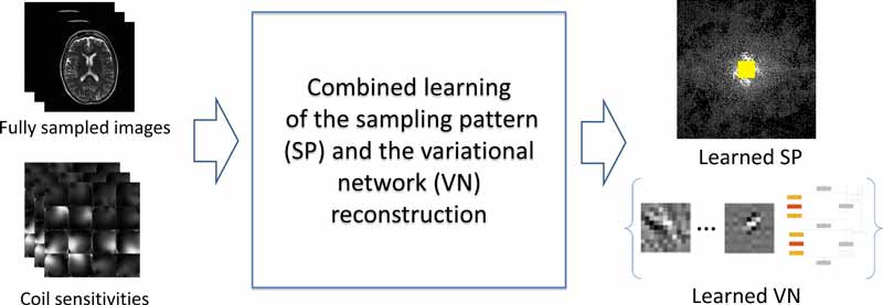 Schematic illustration of a combined learning approach: fully sampled images and coil sensitivities in, learned sampling pattern and reconstruction variational network out.