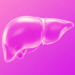 Illustration: liver.