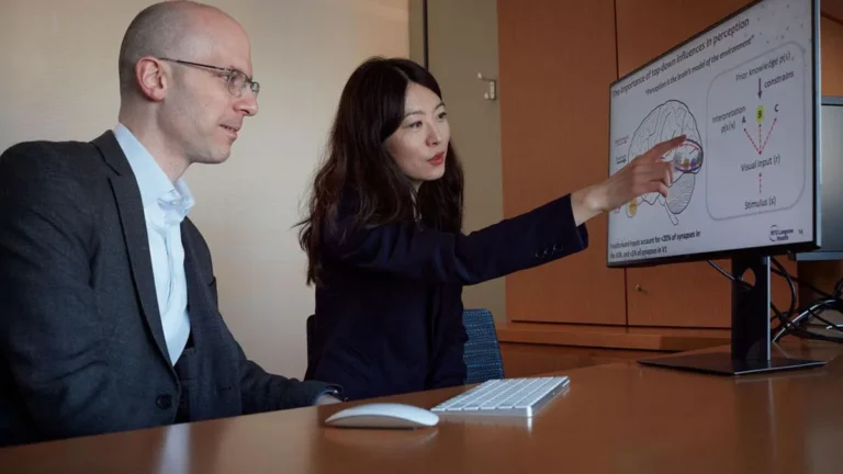 Photo: Eric K. Oermann and Biyu J. He